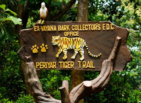 Periyar Jungle Trek & Bamboo Rafting